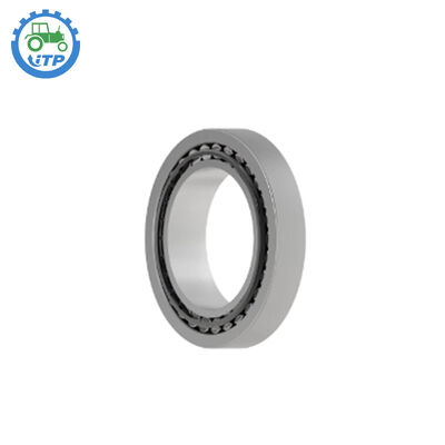 Axle Parts AT179500 Tapered Roller Bearing for Tractor 315SG 410E 410G 485E 486E 488E