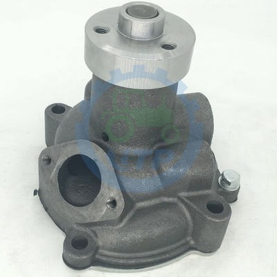8013363 99454833 504065104 Water Pump For  TD90 TD95